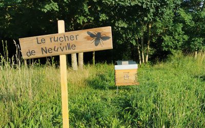 Le rucher de Neuville-sur-Oise accueille les ruches de l’ESAT de ROBIDA