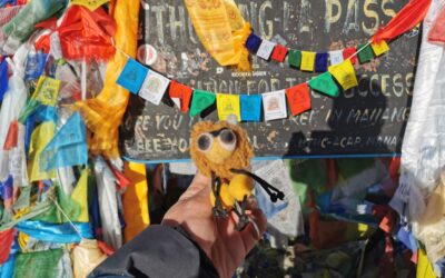 Notre abeille est allée au Népal faire le tour des Annapurnas avec un passage à 5400 m !